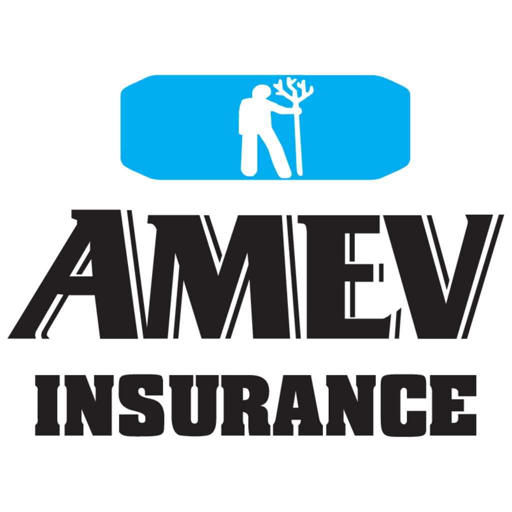Amev,Insurance
