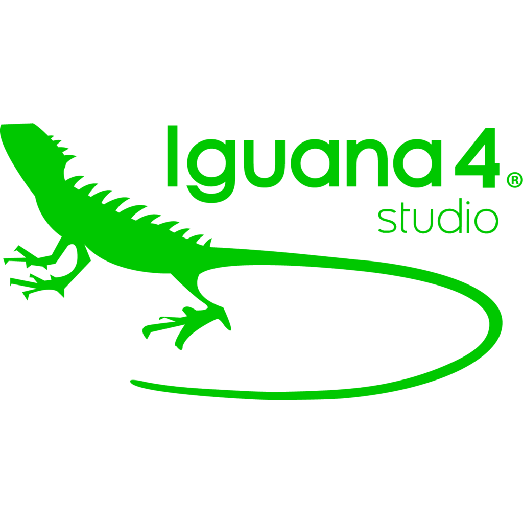 Iguana 4 Studio, Art