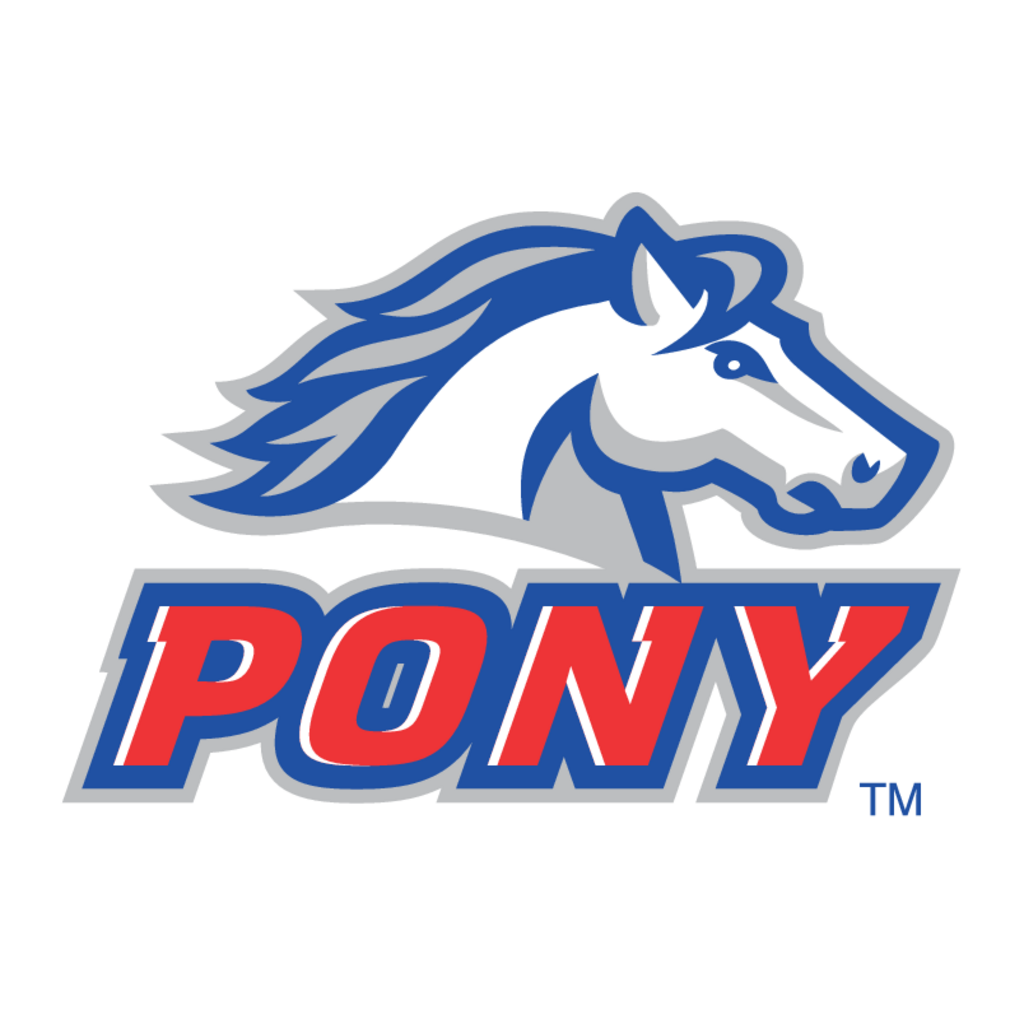 Pony(86)