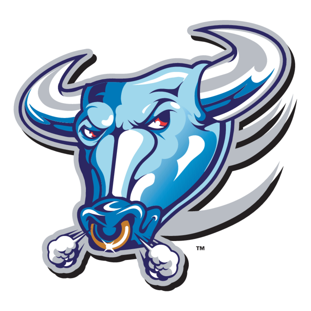 Buffalo,Bulls(362)