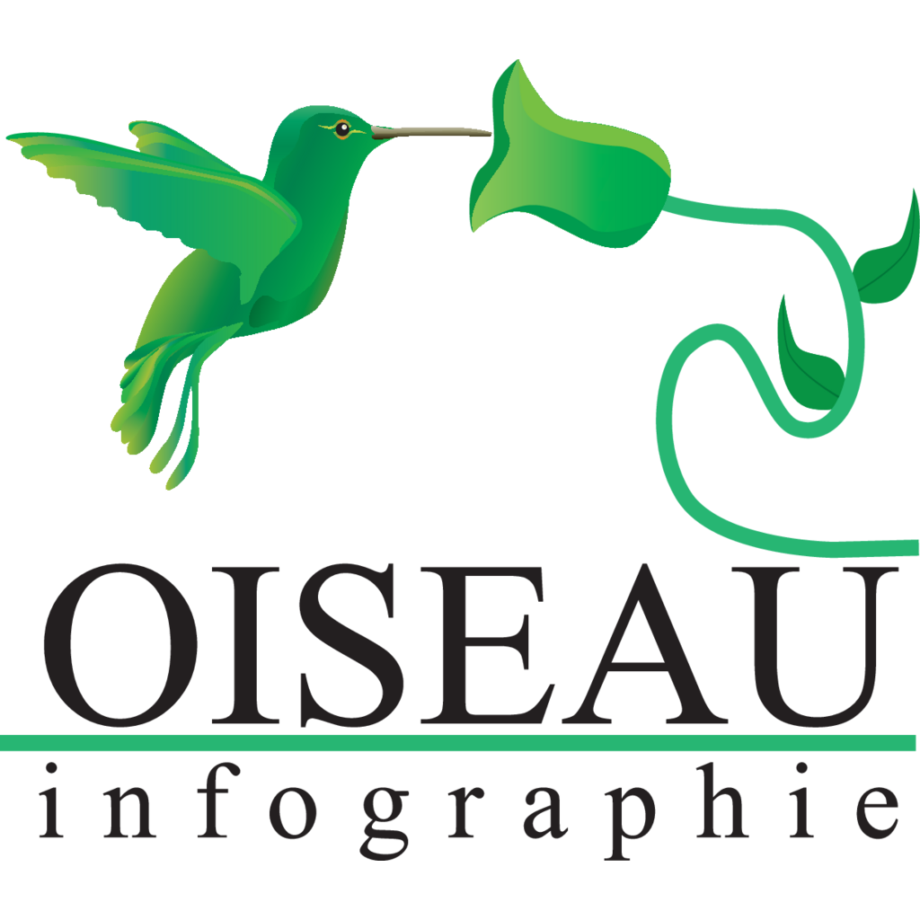 Oiseau,Infographie