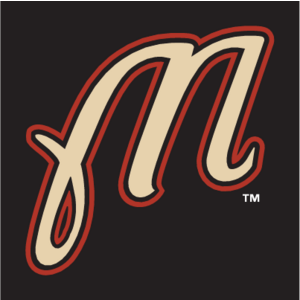 Martinsville Astros(220) Logo