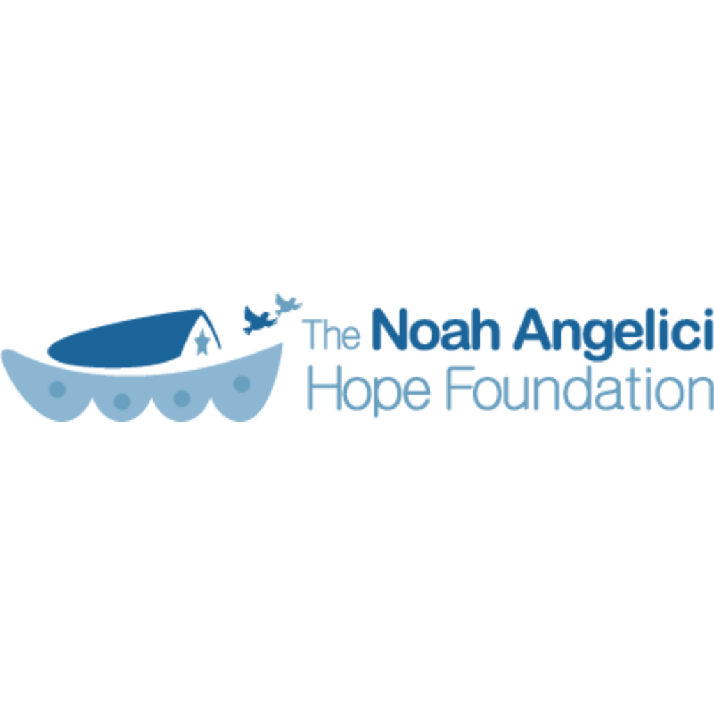 The,Noah,Angelici,Hope,Foundation