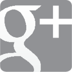 Google+ grey