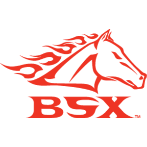 BSX Logo