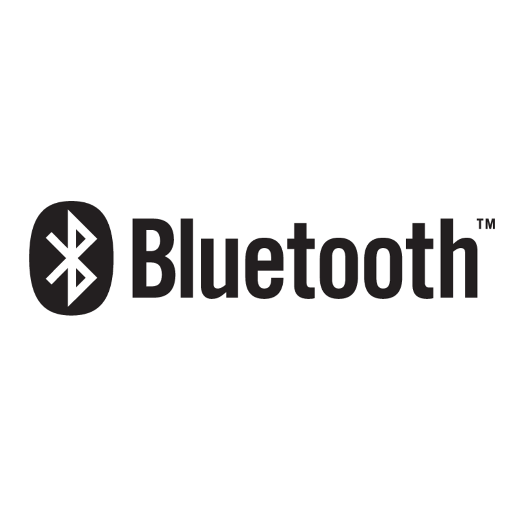 Bluetooth(311)