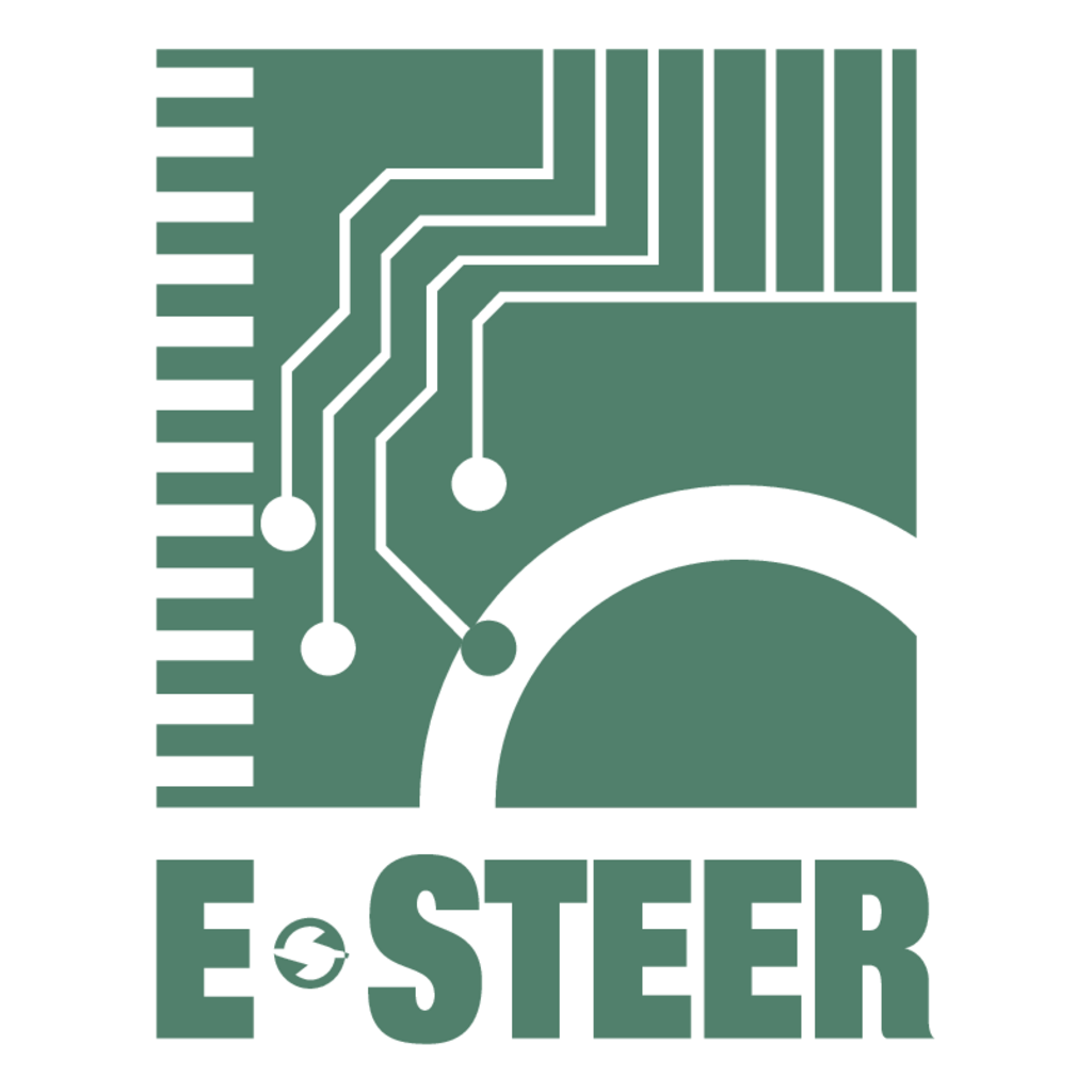 E-Steer