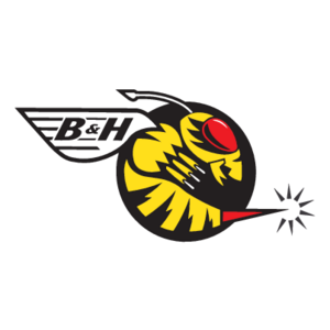 B&H Jordan Logo