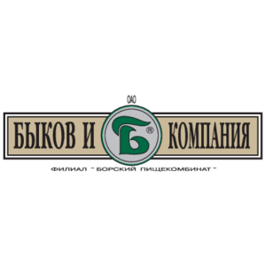 Bykov & Co Logo