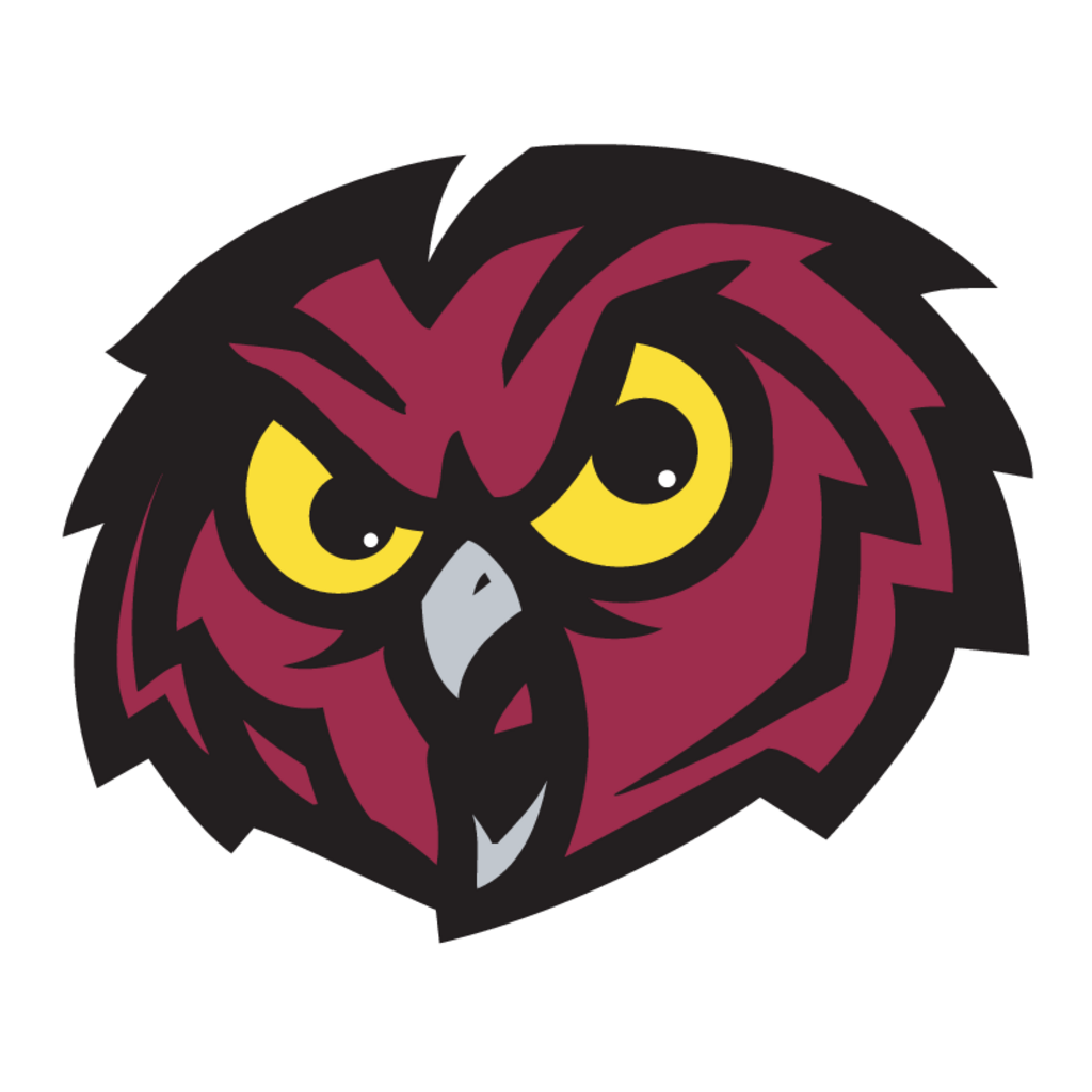 Temple,Owls(131)