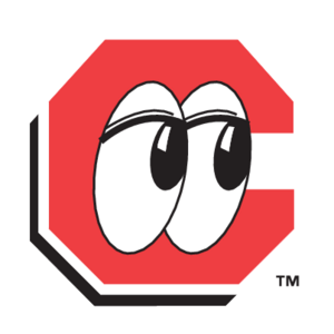 Chattanooga Lookouts(237)