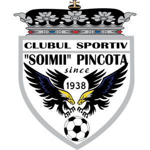 Logo, Sports, Romania, SC Soimii Pâncota