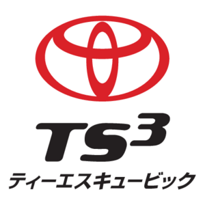 TS3 Card Logo