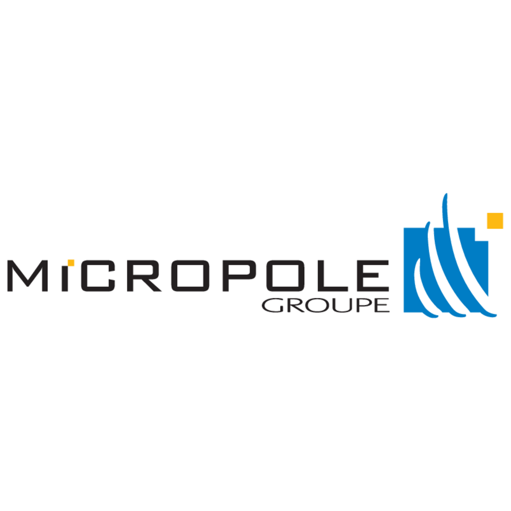 Micropole,Groupe