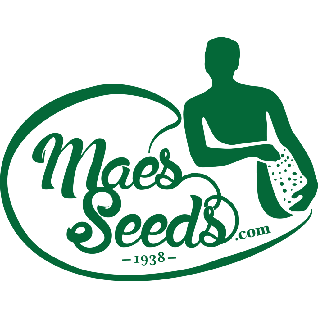 Logo, Industry, Belgium, Maes Seeds