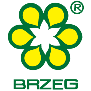 Brzeg Logo