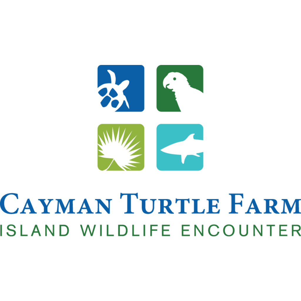 Cayman,Turtle,Farm