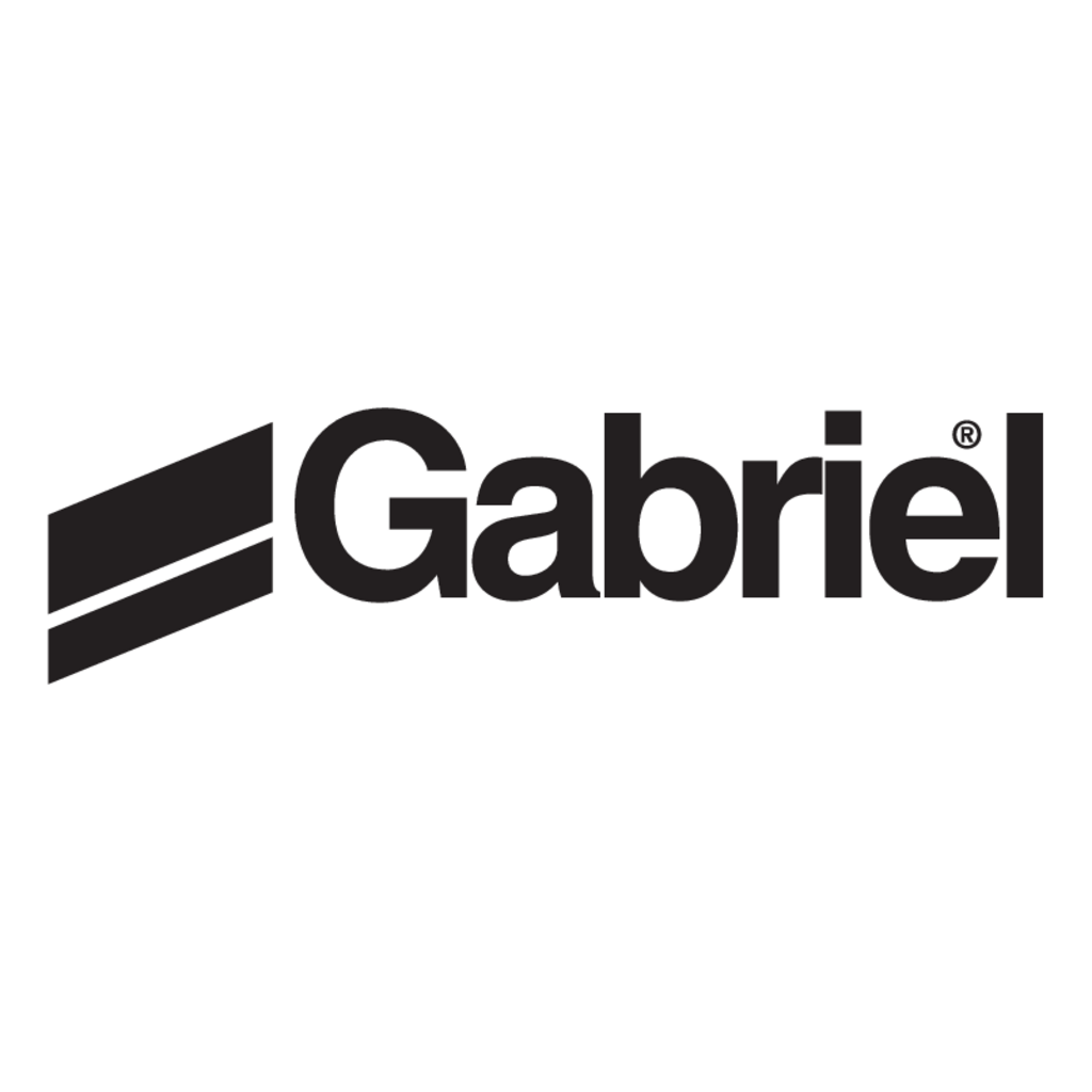 Gabriel(13)