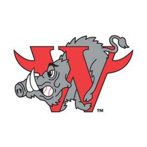 Winston-Salem Warthogs(67) Logo
