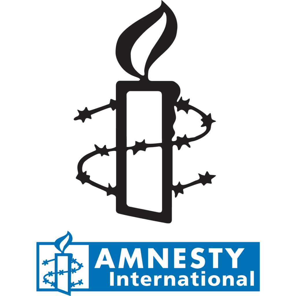 Amnesty International, Consulting 