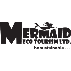 Mermaid Logo