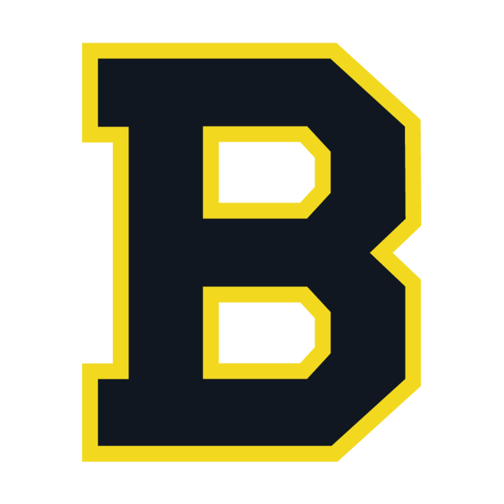 Boston,Bruins(97)