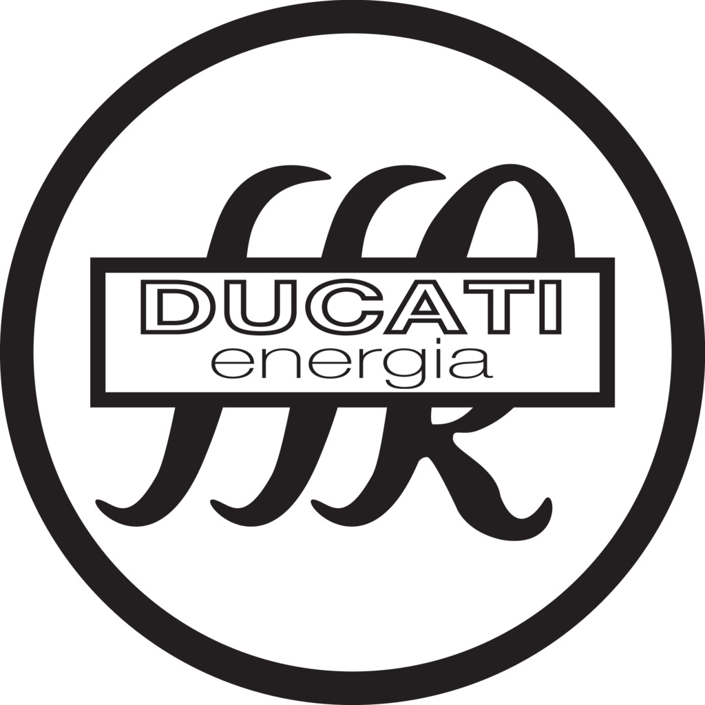 Ducati Energia, Business