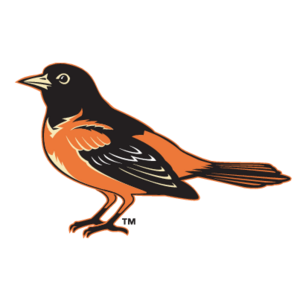 Baltimore Orioles(80) Logo