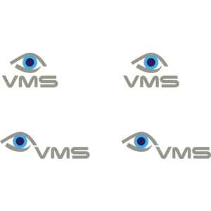 VSM Visual Management Systems Logo