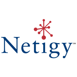 Netigy Logo