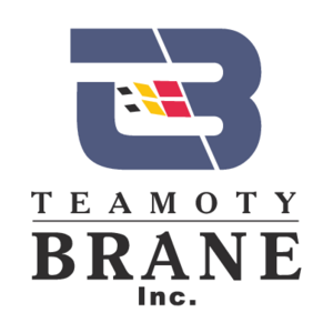 Teamoty Brain Logo