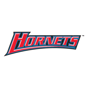 Delaware State Hornets(190) Logo