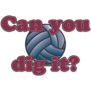 Dig it Volleyball Logo