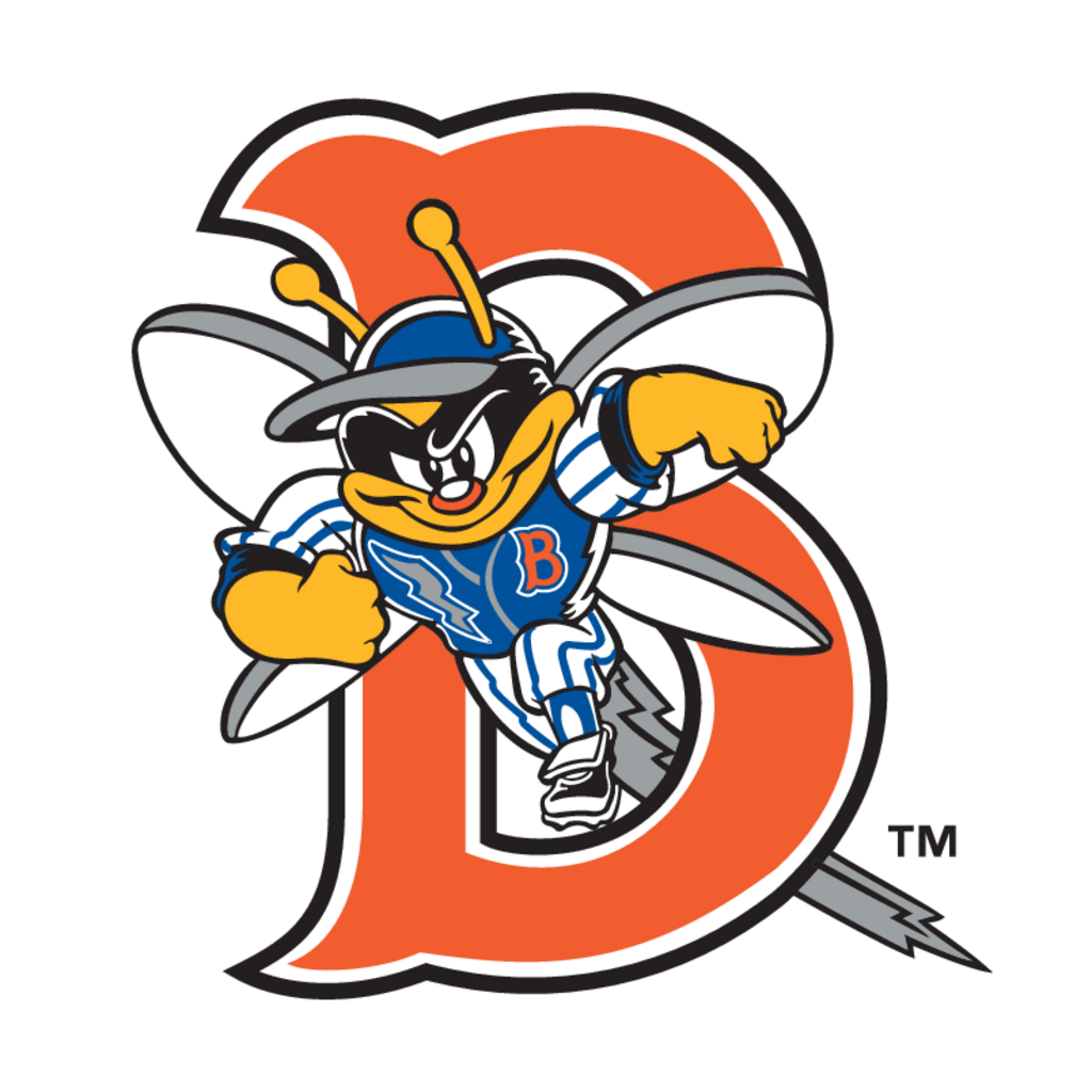 Binghamton Mets(235) logo, Vector Logo of Binghamton Mets(235) brand