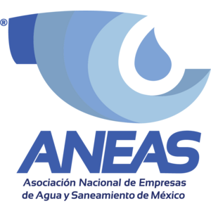 Aneas Color Logo