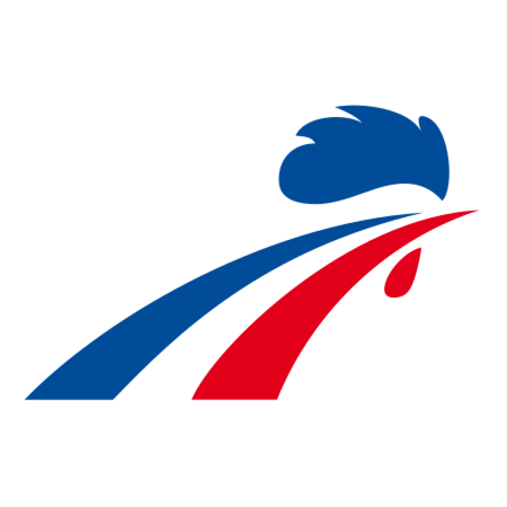 Logo, Sports, France, France National Ice Hockey Team