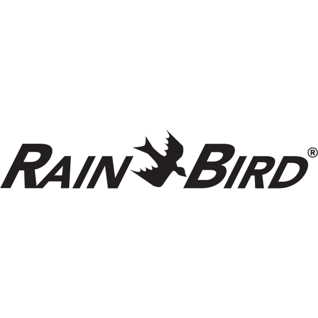 Rain,Bird