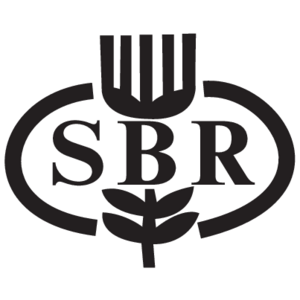 SBR Bank Logo