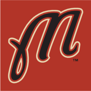 Martinsville Astros(219) Logo