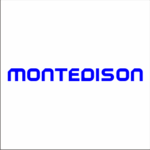 Montedison Logo