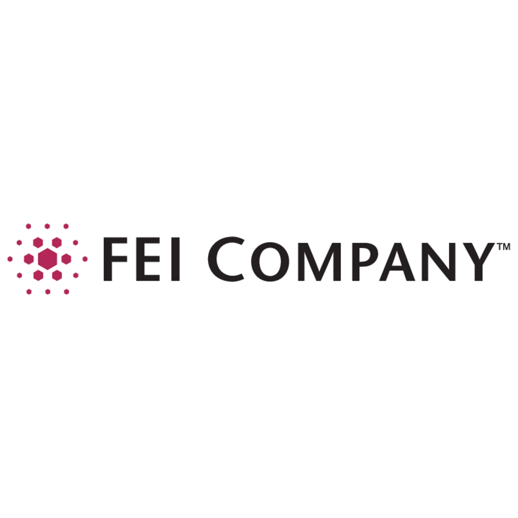 FEI,Company