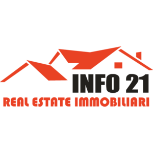 Info 21 Logo