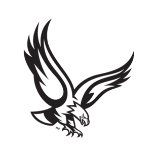 Boston College Eagles(114) Logo