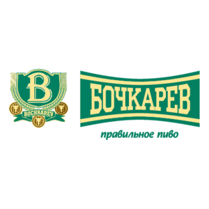 Bochkarev(13) Logo