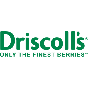 Discoll's Logo