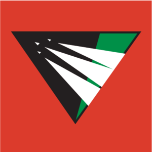 Raliegh-Durham Skyhawks Logo