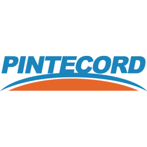 Pintecord Logo