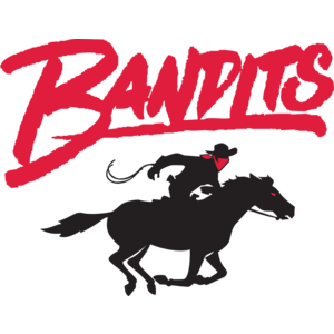 Tampa Bay Bandits Logo