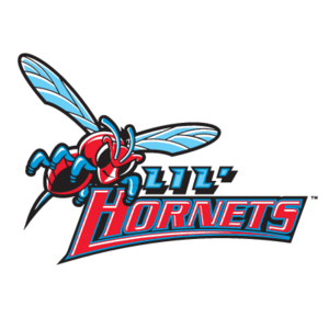 Delaware State Hornets(193) Logo
