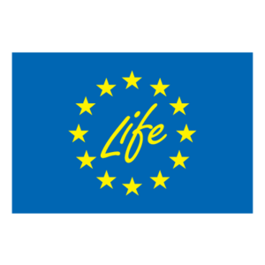 Life(28) Logo